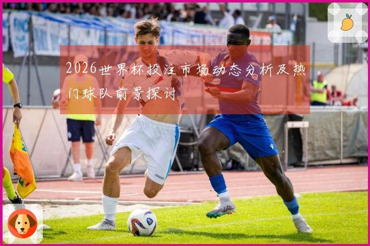 2026世界杯投注市场动态分析及热门球队前景探讨