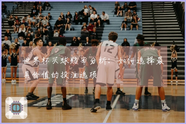 世界杯买球赔率分析：如何选择最具价值的投注选项