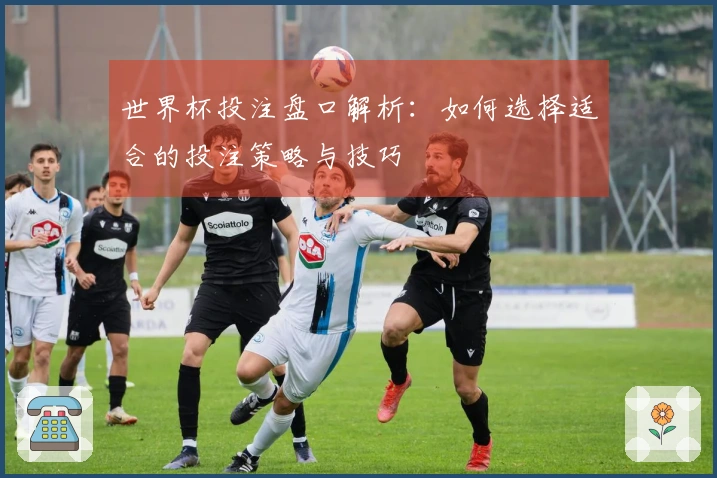 世界杯投注盘口解析：如何选择适合的投注策略与技巧