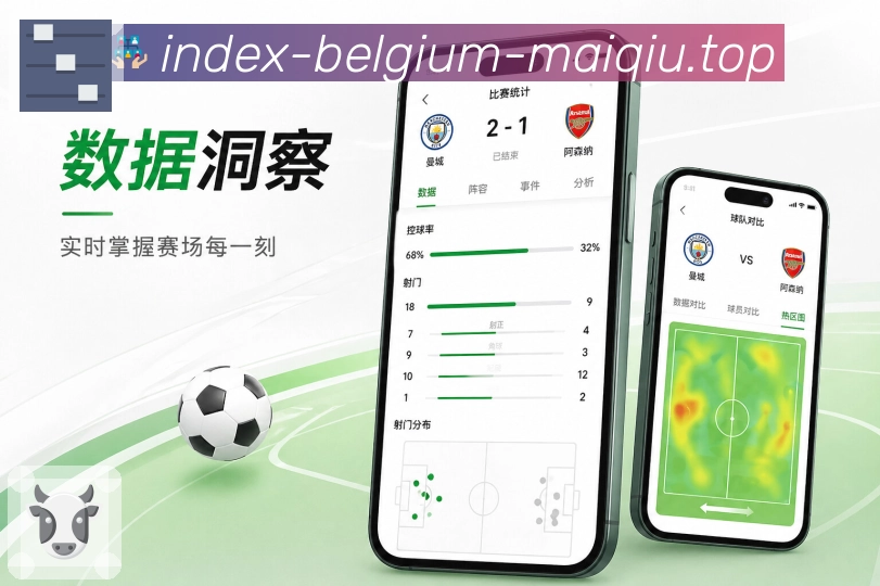 买球站 APP访问安全说明图片